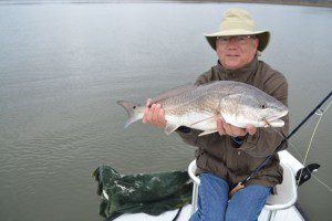 fish1