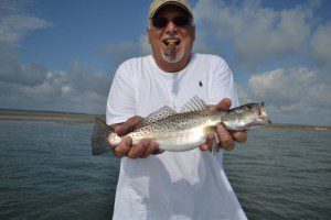 trout