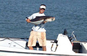SCOTTY COBIA